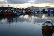 Dársena de Foz, puerto base de varios cerqueros de la comarca (Foto: Antonio López (AMA))