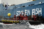 GreenPeace