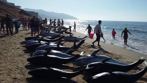 Playa Cires (Marruecos)