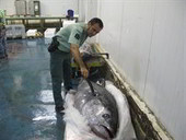 Foto: EUROPA PRESS/GUARDIA CIVIL