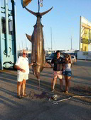 Captura de un marlin negro en la costa de Cádiz